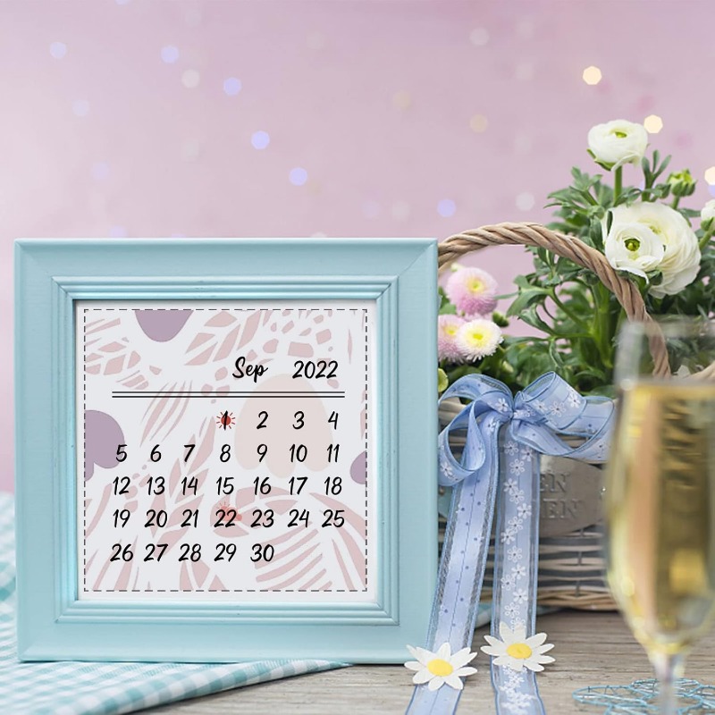 1PC 8.3x5.8in Calendar Clear S - Rubber Date Stamp recension och pris